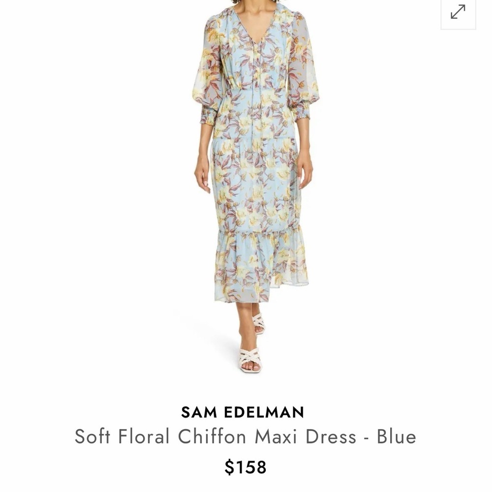 Sam Edelman Floral Chiffon Maxi Dress - Light Blue